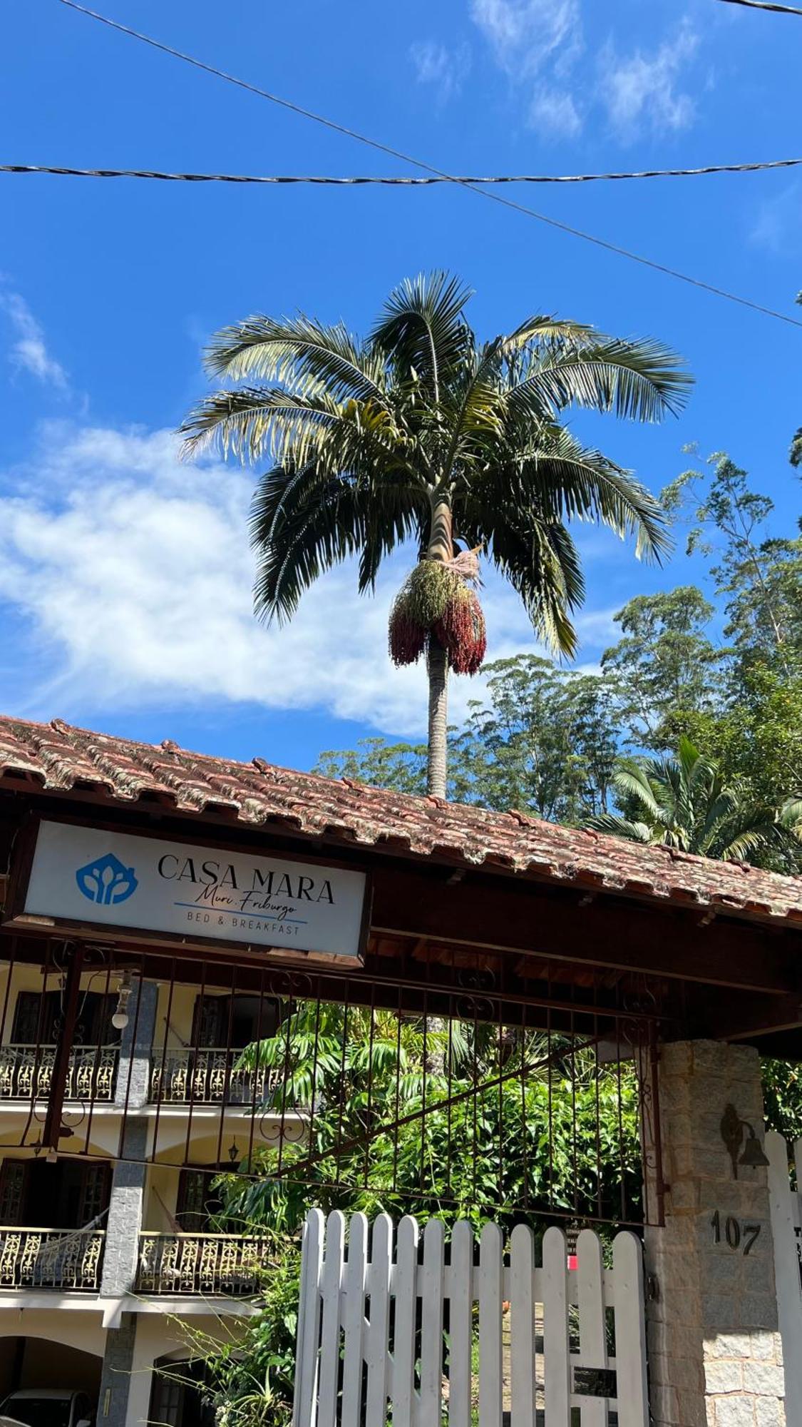 Bed and Breakfast Casa Mara Nova Friburgo Exterior foto